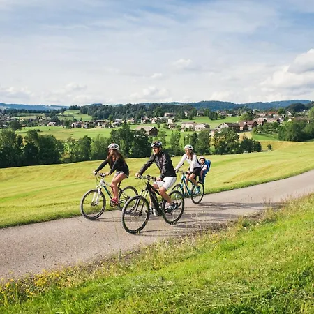 Apartment Premium Apartment - Grosszuegig & Zentral Wohnen Schwarzenberg im Bregenzerwald